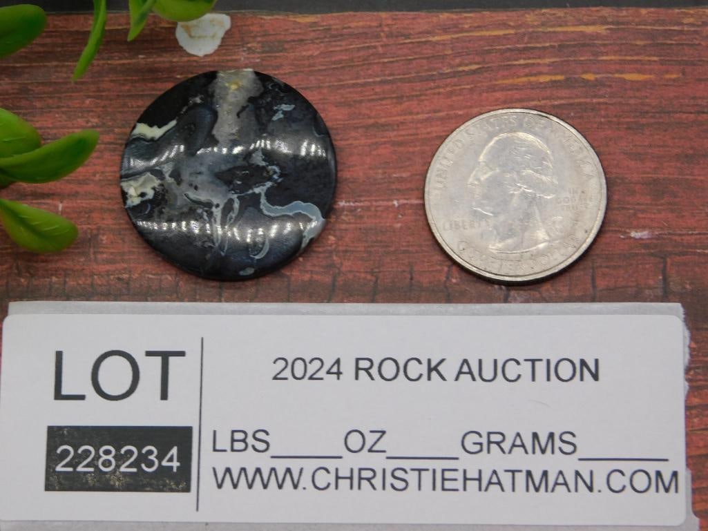 CABOCHON ROCK STONE LAPIDARY SPECIMEN - 2