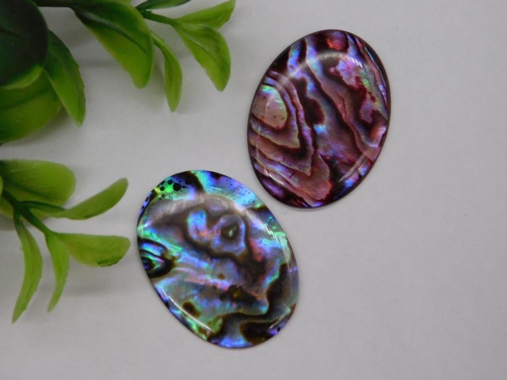 ABALONE CABOCHONS ROCK STONE LAPIDARY SPECIMEN (1 of 2)