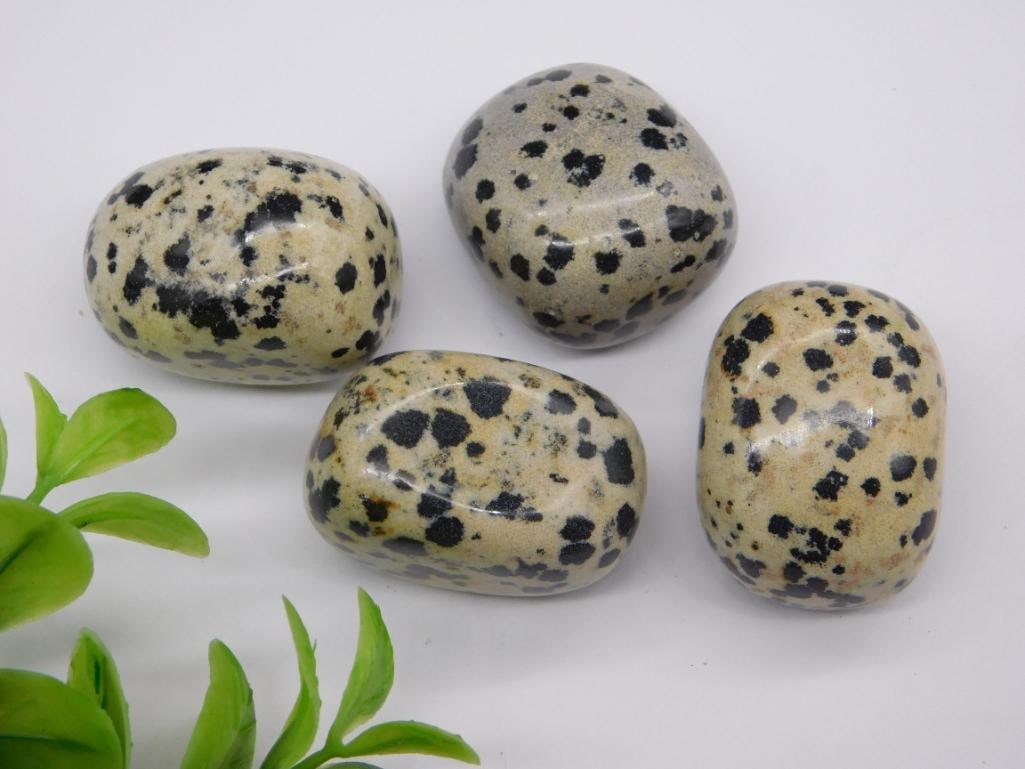 DALMATION JASPER ROCK STONE LAPIDARY SPECIMEN: DALMATION JASPER ROCK STONE LAPIDARY SPECIMEN