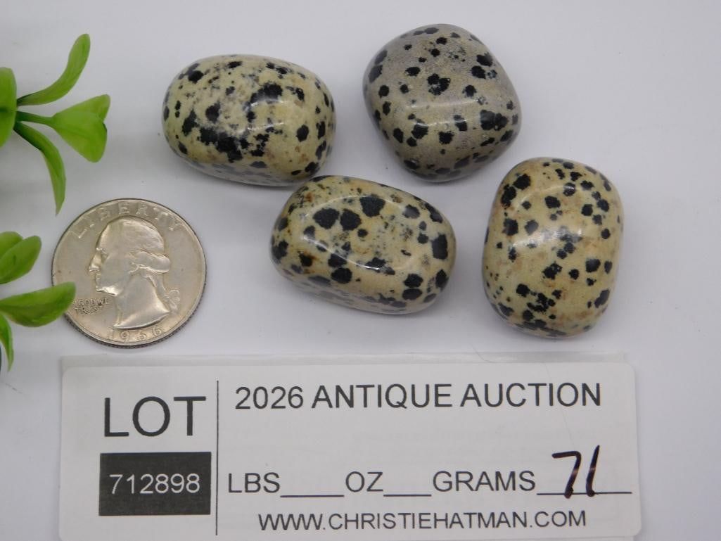 DALMATION JASPER ROCK STONE LAPIDARY SPECIMEN - 2