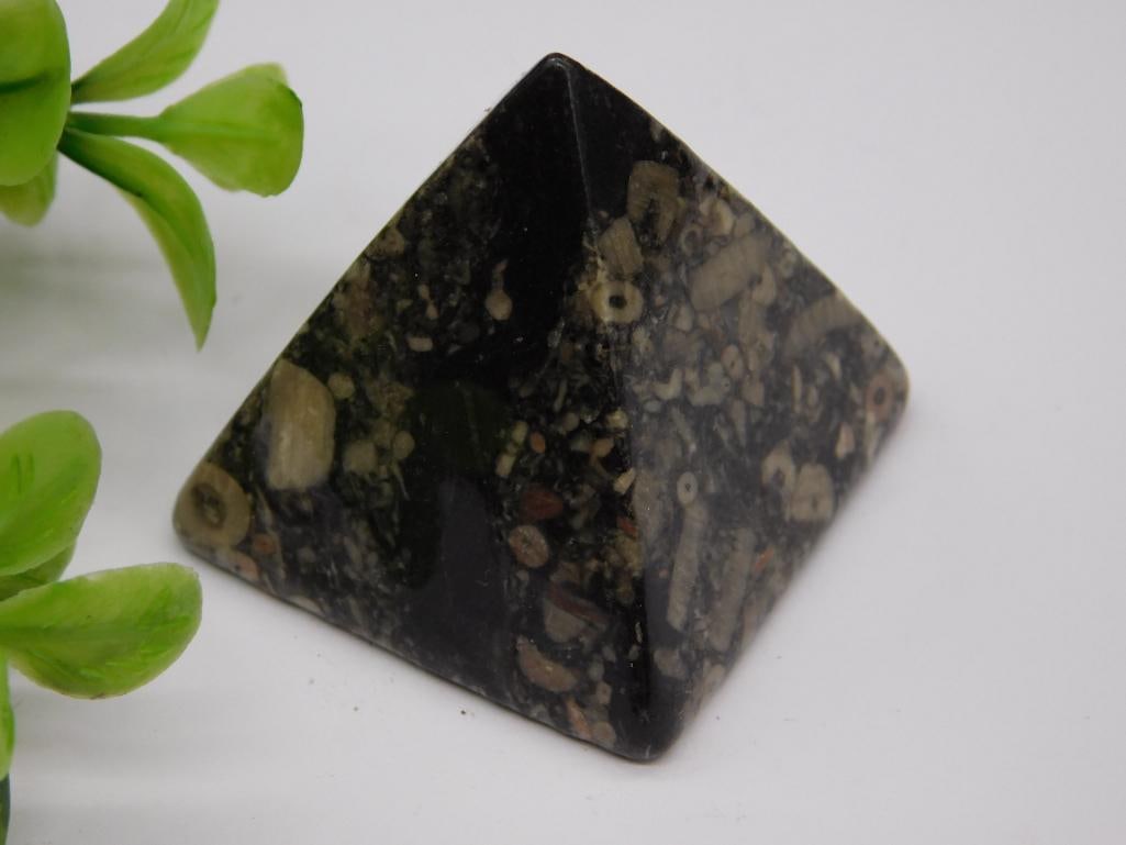 ORTHOCERAS PYRAMID ROCK STONE LAPIDARY SPECIMEN: ORTHOCERAS PYRAMID ROCK STONE LAPIDARY SPECIMEN