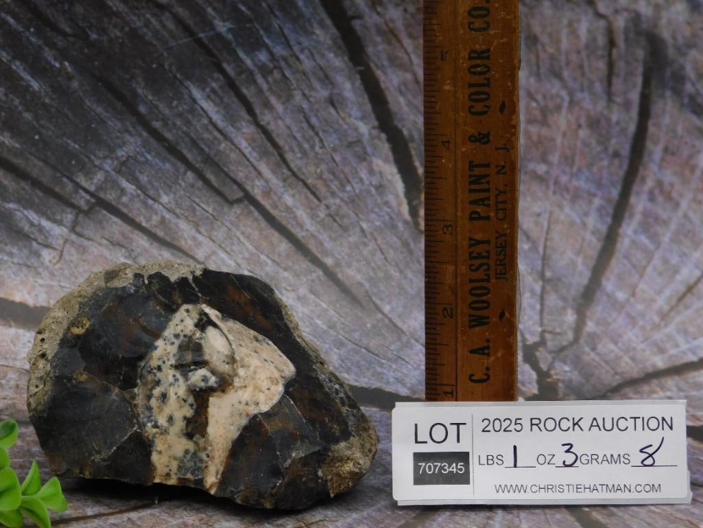 Polished Agate and Dendritic Rock Specimen - 3