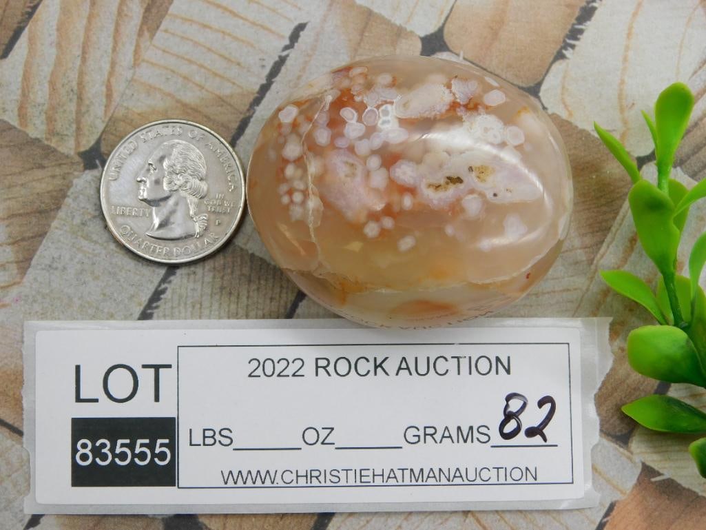 HATMANS FLOWER PETAL AGATE ROCK STONE LAPIDARY SPECIMEN (1 of 1)