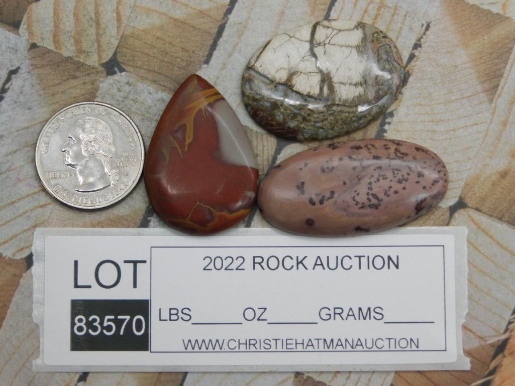 CABOCHONS ROCK STONE LAPIDARY SPECIMEN - 2