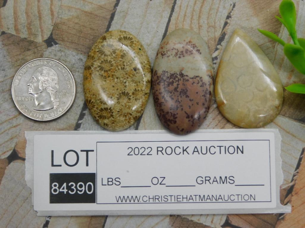 CABOCHONS ROCK STONE LAPIDARY SPECIMEN - 2