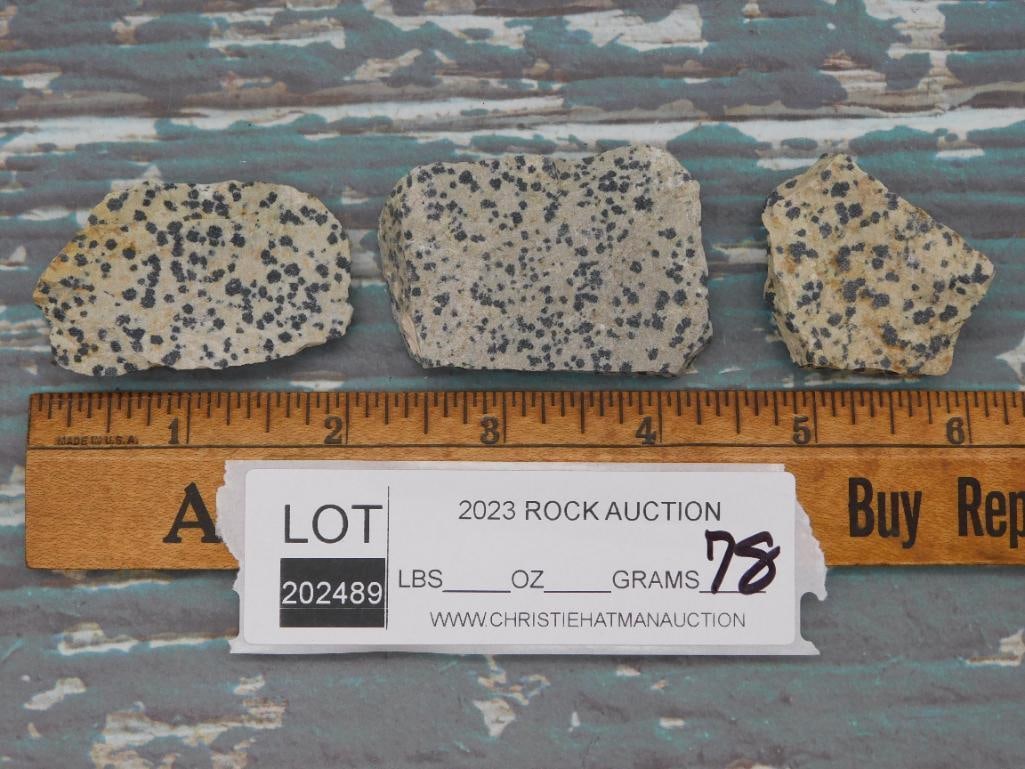 DALMATION JASPER ROCK STONE LAPIDARY SPECIMEN - 2