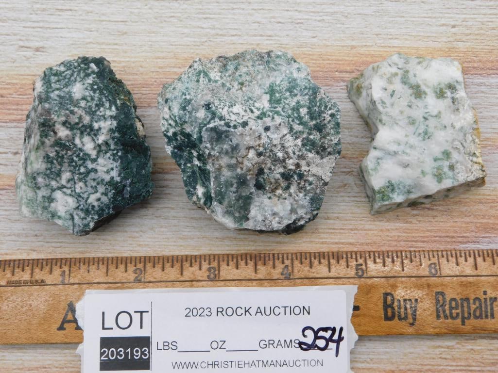 TREE AGATE ROCK STONE LAPIDARY SPECIMEN - 2