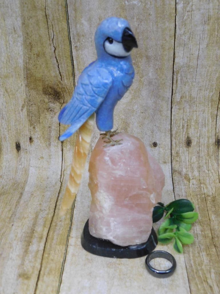 STONE BIRD AND RING ROCK STONE LAPIDARY SPECIMEN: STONE BIRD AND RING ROCK STONE LAPIDARY SPECIMEN