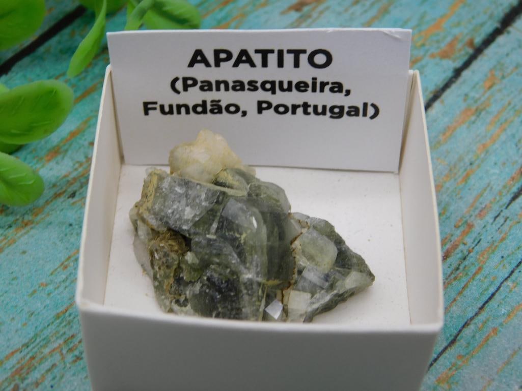 APATITE SPECIMEN: APATITE SPECIMEN