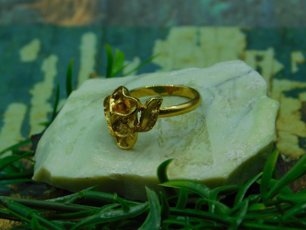 RING ROCK STONE LAPIDARY SPECIMEN: RING ROCK STONE LAPIDARY SPECIMEN