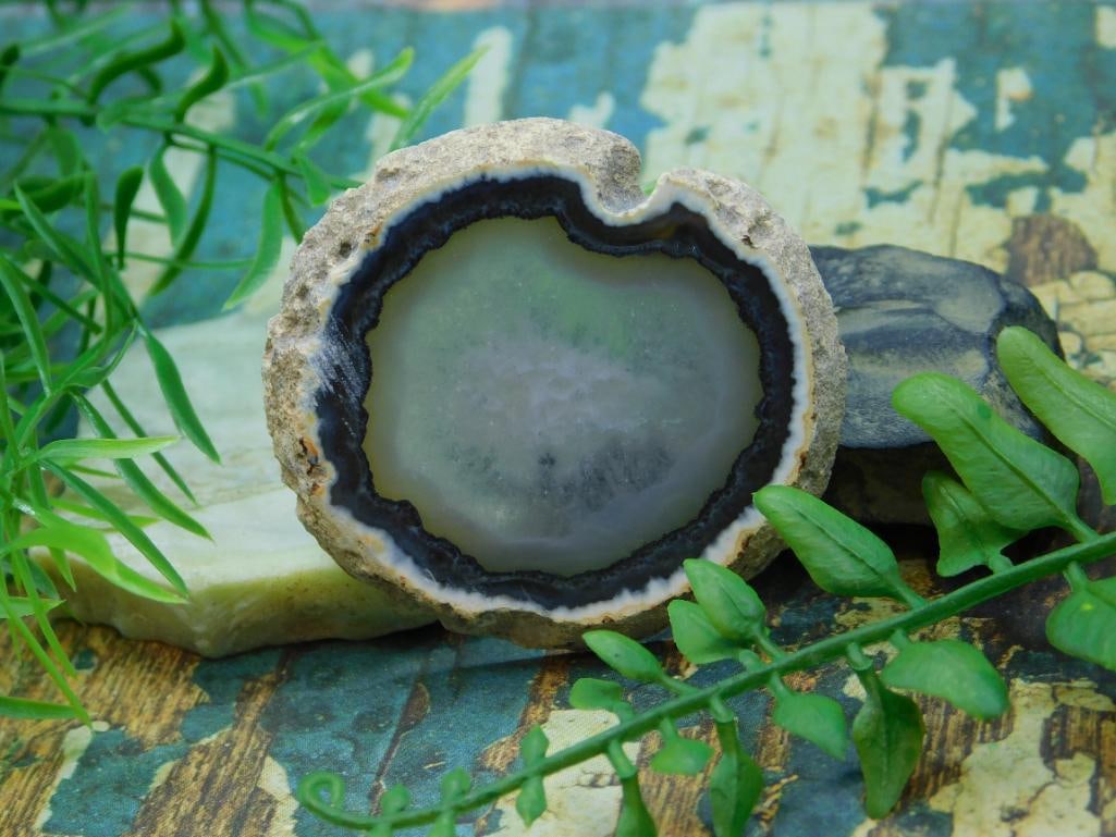 AGATE SLICE ROCK STONE LAPIDARY SPECIMEN: AGATE SLICE ROCK STONE LAPIDARY SPECIMEN