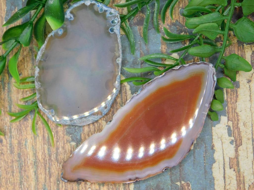 AGATE SLICES ROCK STONE LAPIDARY SPECIMEN - 2