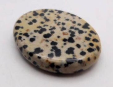 DALMATION JASPER ROCK STONE LAPIDARY SPECIMEN