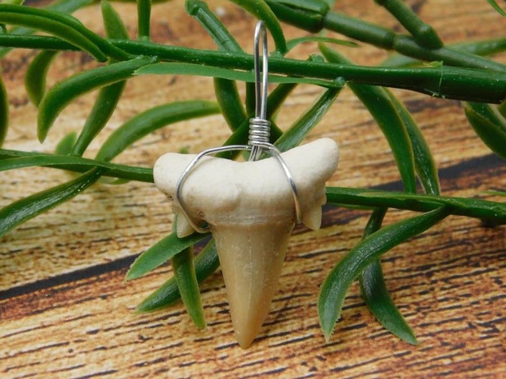 SPECIAL JEWELRY SALE! SEE PHOTOS FOR DETAILS: SPECIAL JEWELRY SALE! SEE PHOTOS FOR DETAILS