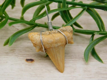 SPECIAL JEWELRY SALE! SEE PHOTOS FOR DETAILS