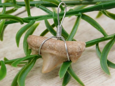 SPECIAL JEWELRY SALE! SEE PHOTOS FOR DETAILS