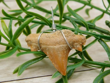 SPECIAL JEWELRY SALE! SEE PHOTOS FOR DETAILS