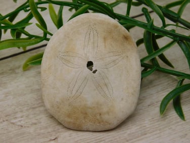 SPECIAL JEWELRY SALE! SEE PHOTOS FOR DETAILS