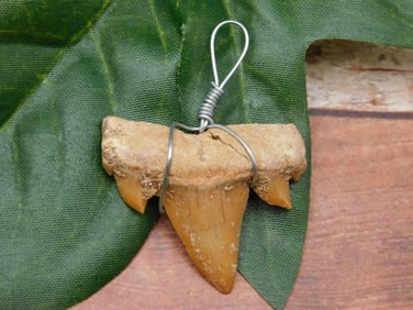 SPECIAL JEWELRY SALE! SEE PHOTOS FOR DETAILS