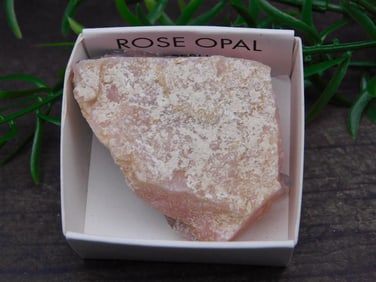 SPECIAL JEWELRY SALE! SEE PHOTOS FOR DETAILS