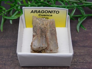 SPECIAL JEWELRY SALE! SEE PHOTOS FOR DETAILS