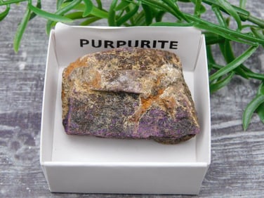 SPECIAL JEWELRY SALE! SEE PHOTOS FOR DETAILS