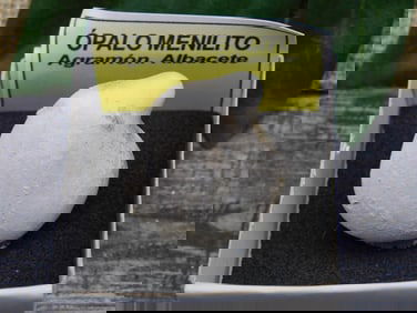 SPECIAL JEWELRY SALE! SEE PHOTOS FOR DETAILS