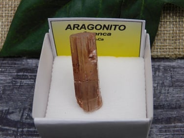 SPECIAL JEWELRY SALE! SEE PHOTOS FOR DETAILS