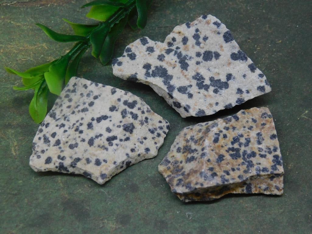 DALMATION JASPER ROCK STONE LAPIDARY SPECIMEN: DALMATION JASPER ROCK STONE LAPIDARY SPECIMEN