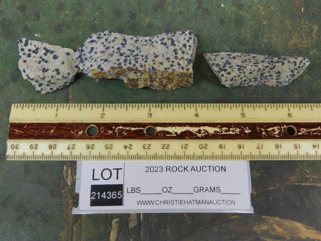 DALMATION JASPER ROCK STONE LAPIDARY SPECIMEN - 2