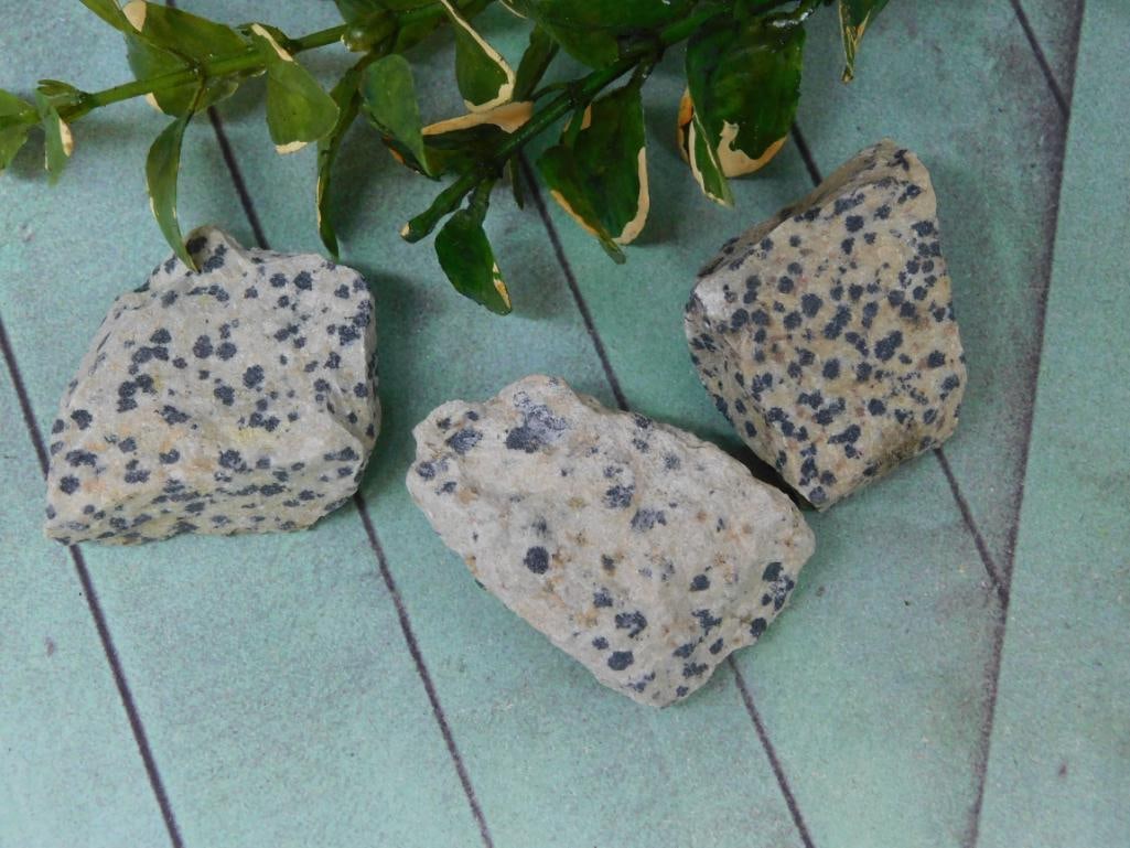 DALMATION JASPER ROCK STONE LAPIDARY SPECIMEN (1 of 2)
