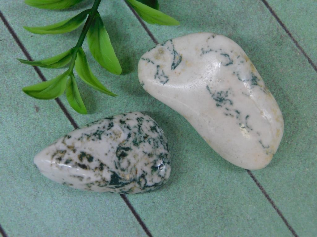 TREE AGATE ROCK STONE LAPIDARY SPECIMEN: TREE AGATE ROCK STONE LAPIDARY SPECIMEN