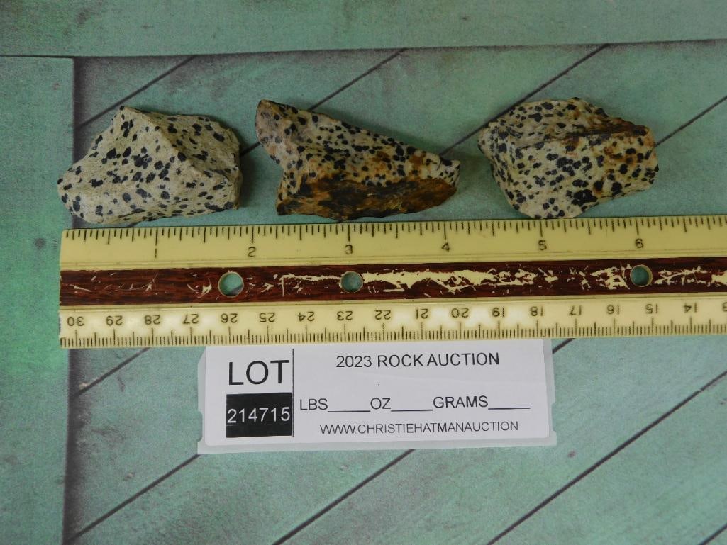 DALMATION JASPER ROCK STONE LAPIDARY SPECIMEN - 2