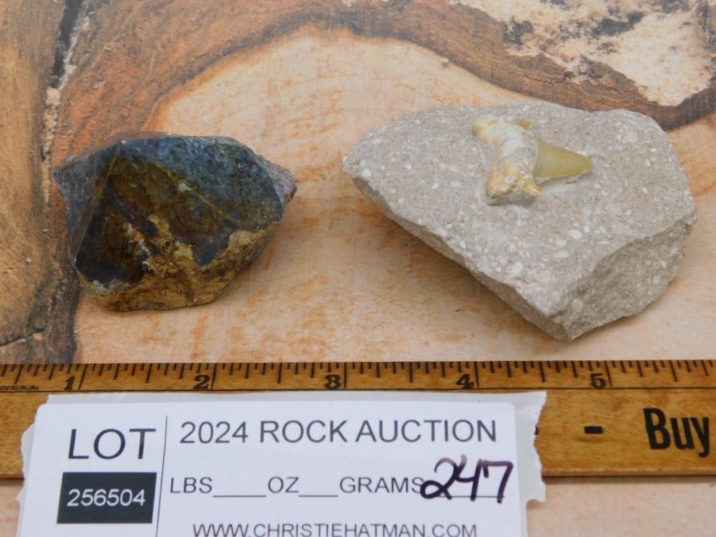 MIXED LOT ROCK STONE LAPIDARY SPECIMEN - 2