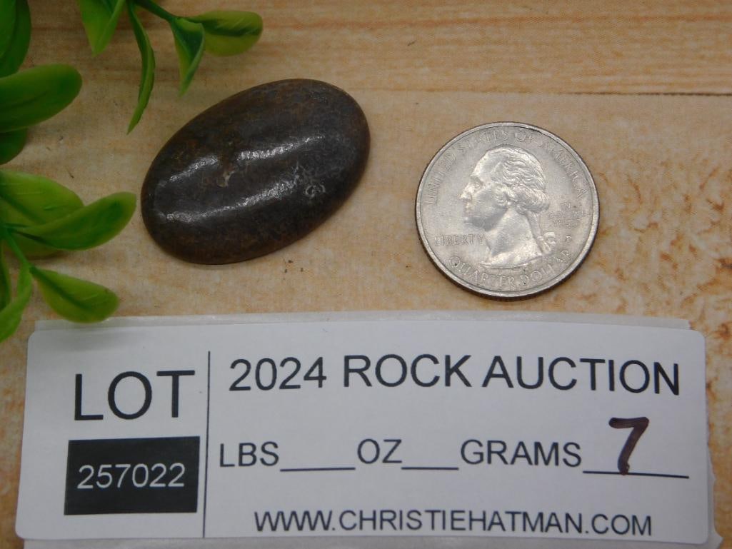 CABOCHON ROCK STONE LAPIDARY SPECIMEN - 2