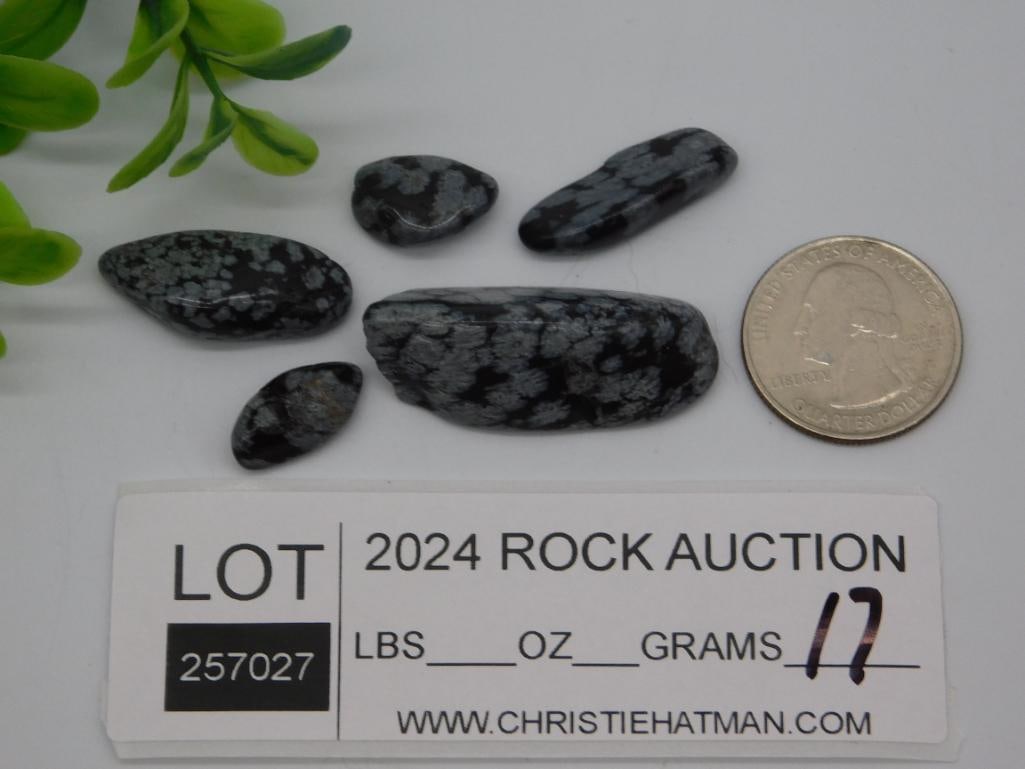SNOWFLAKE OBSIDIAN ROCK STONE LAPIDARY SPECIMEN - 2