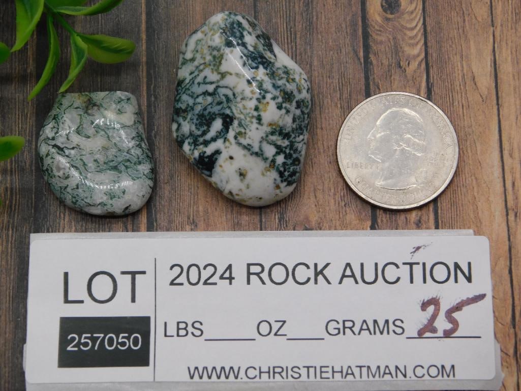 TREE AGATE ROCK STONE LAPIDARY SPECIMEN - 2