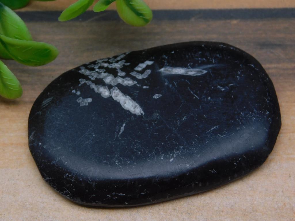 CHRYSANTHEMUM ROCK STONE LAPIDARY SPECIMEN: CHRYSANTHEMUM ROCK STONE LAPIDARY SPECIMEN