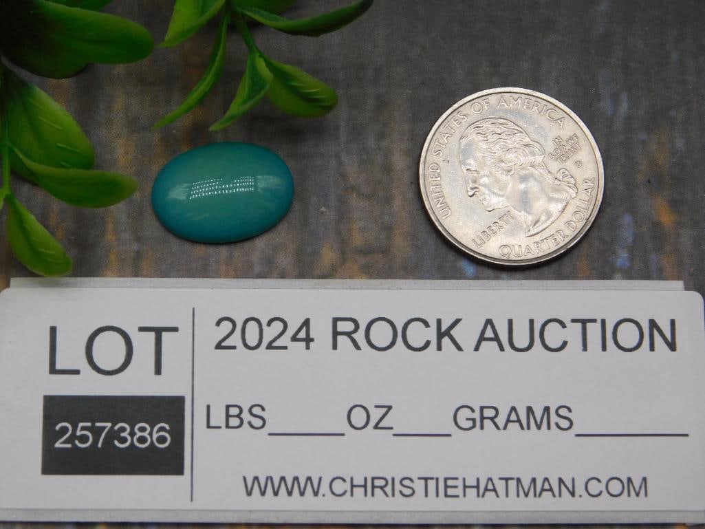 CABOCHON ROCK STONE LAPIDARY SPECIMEN - 2