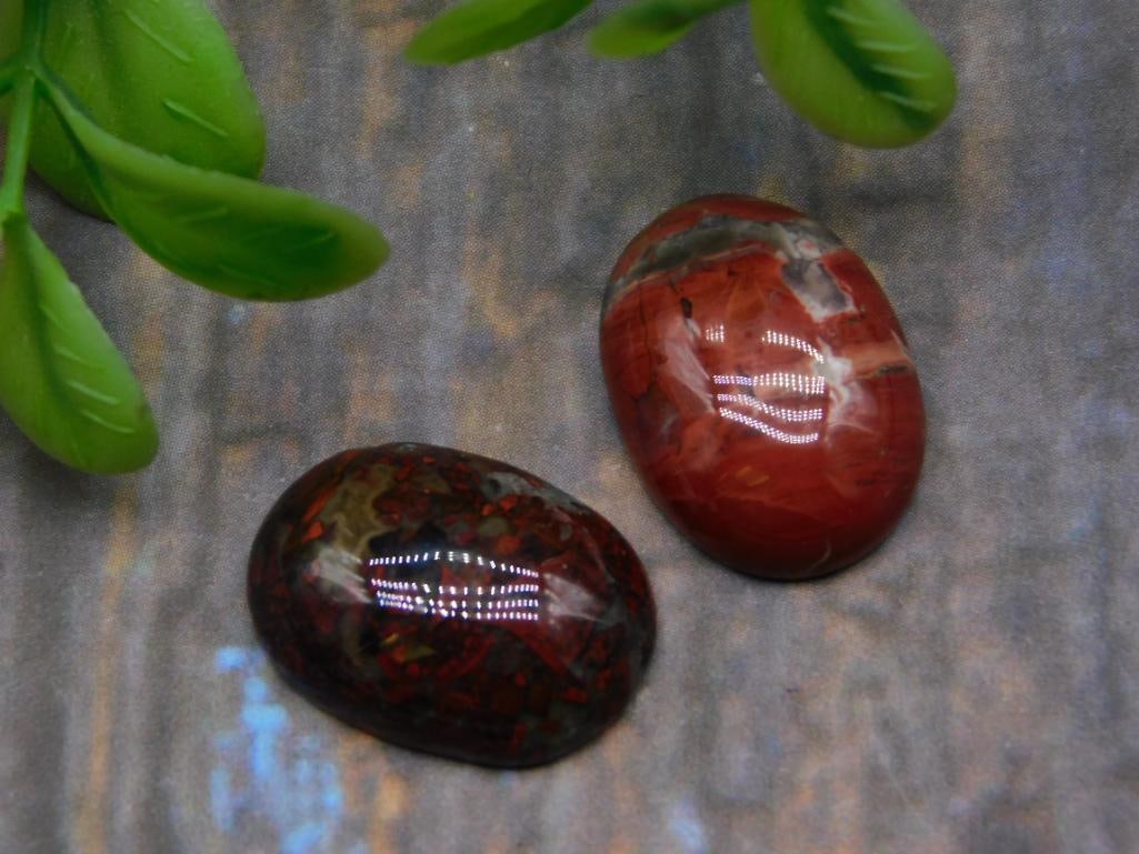 CABOCHONS ROCK STONE LAPIDARY SPECIMEN (1 of 2)