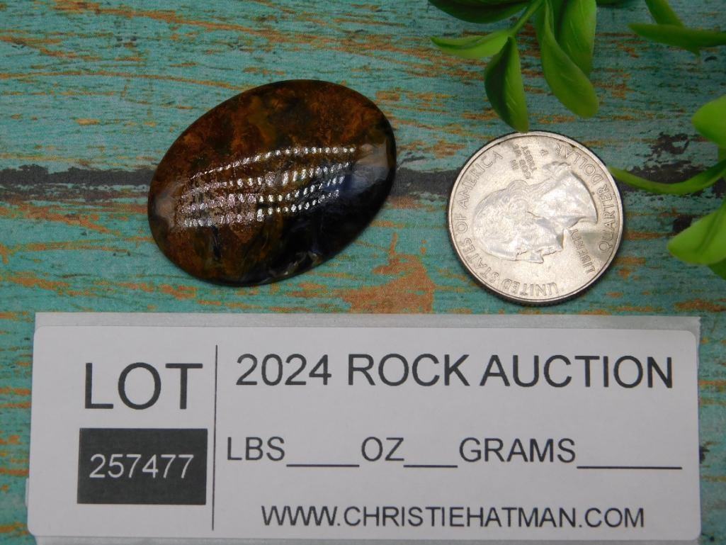 CABOCHON ROCK STONE LAPIDARY SPECIMEN - 2