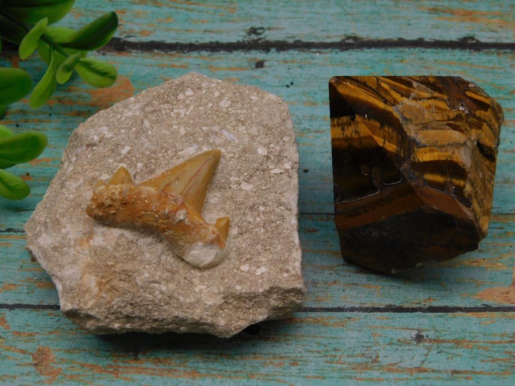 MIXED LOT ROCK STONE LAPIDARY SPECIMEN: MIXED LOT ROCK STONE LAPIDARY SPECIMEN