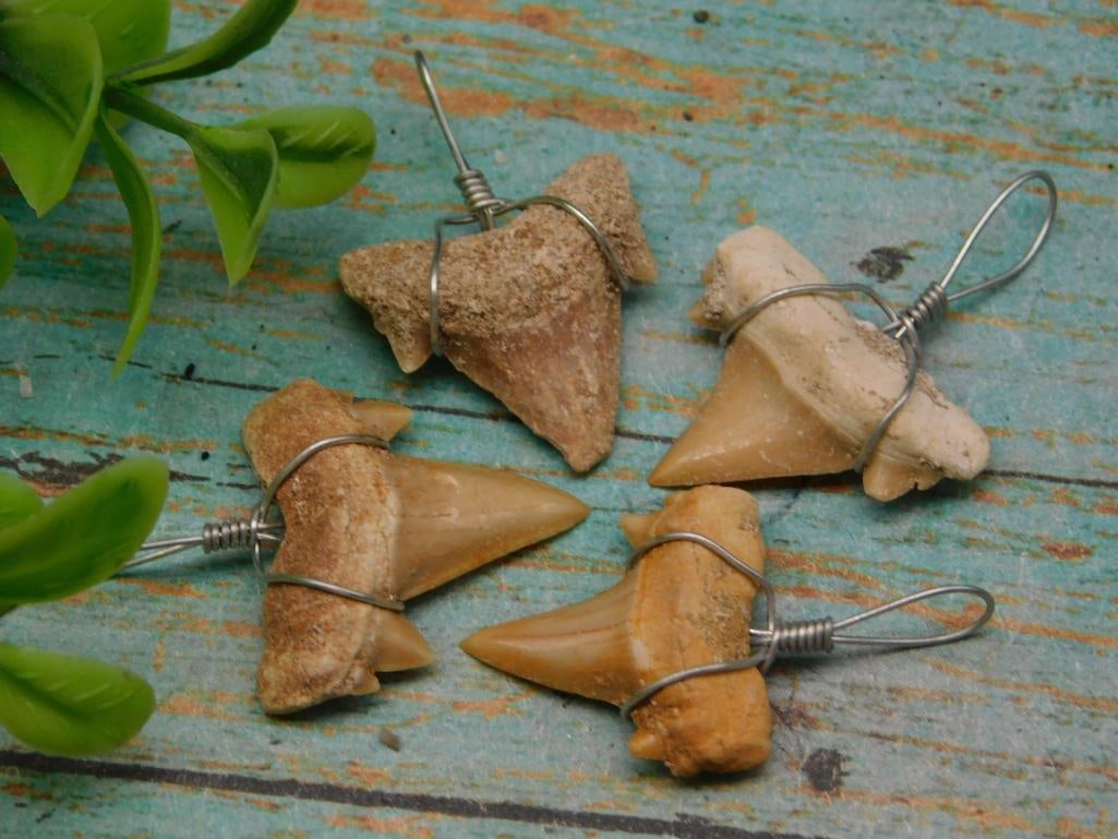 SHARK TEETH PENDANTS ROCK STONE LAPIDARY SPECIMEN: SHARK TEETH PENDANTS ROCK STONE LAPIDARY SPECIMEN
