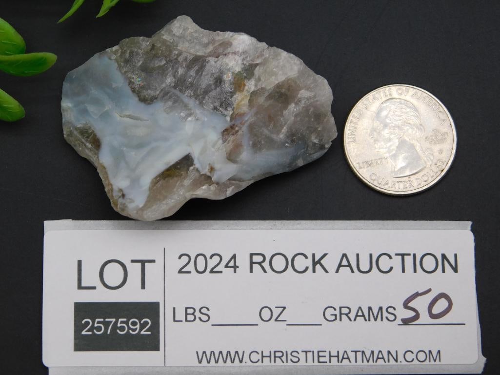 ROCK STONE LAPIDARY SPECIMEN - 3