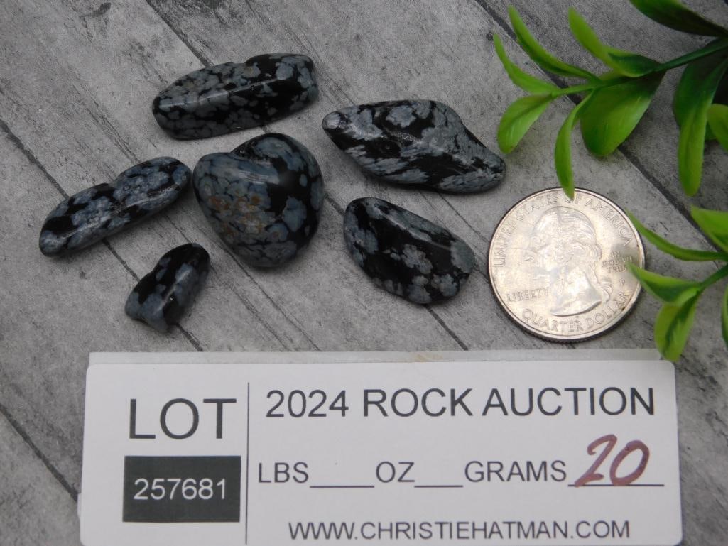 SNOWFLAKE OBSIDIAN ROCK STONE LAPIDARY SPECIMEN - 2