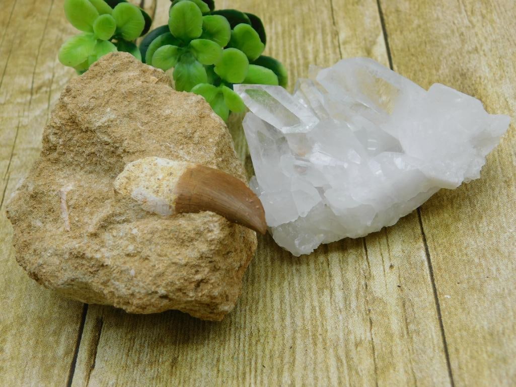 MIXED LOT ROCK STONE LAPIDARY SPECIMEN: MIXED LOT ROCK STONE LAPIDARY SPECIMEN