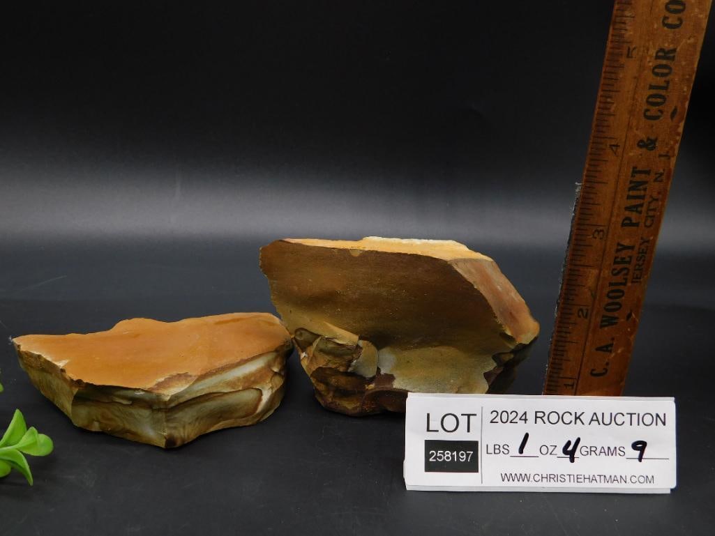 JASPER ROCK STONE LAPIDARY SPECIMEN - 2