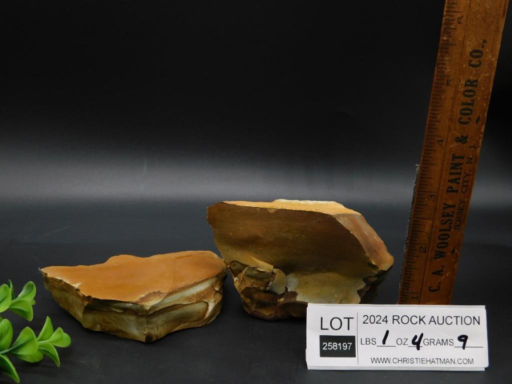 JASPER ROCK STONE LAPIDARY SPECIMEN - 3