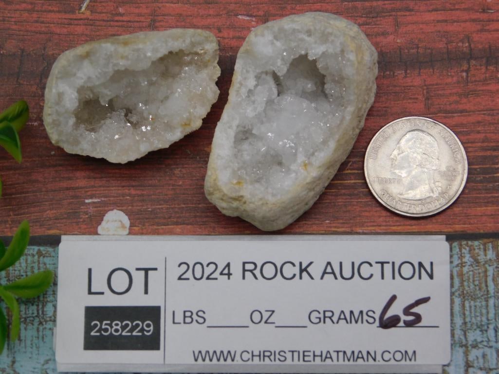 GEODE ROCK STONE LAPIDARY SPECIMEN - 2