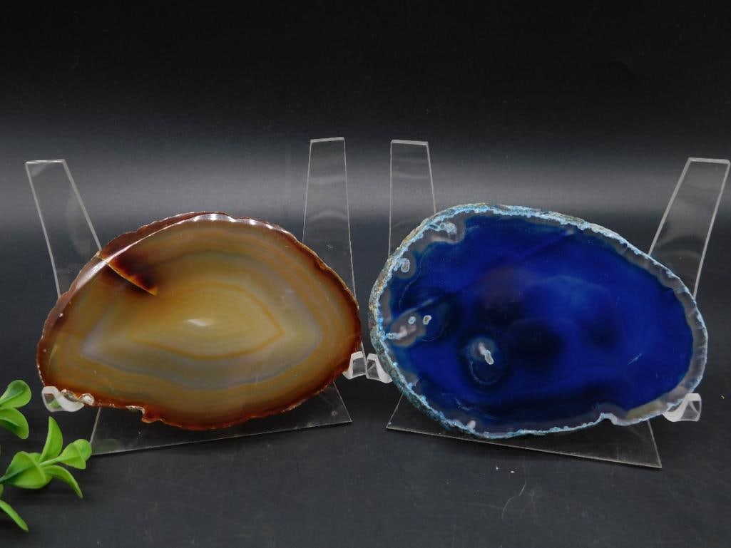 AGATE SLICES ROCK STONE LAPIDARY SPECIMEN: AGATE SLICES ROCK STONE LAPIDARY SPECIMEN